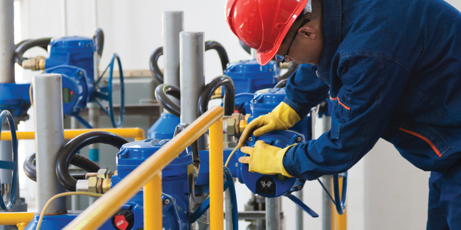 Inspection Services